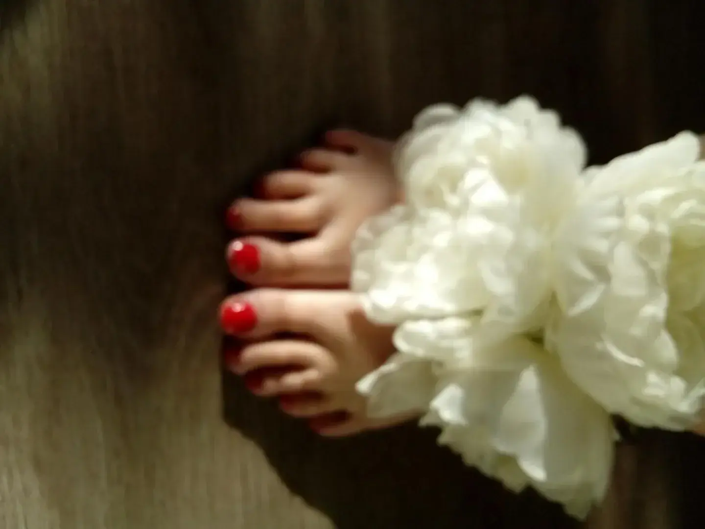 Photo de couverture de Samara1