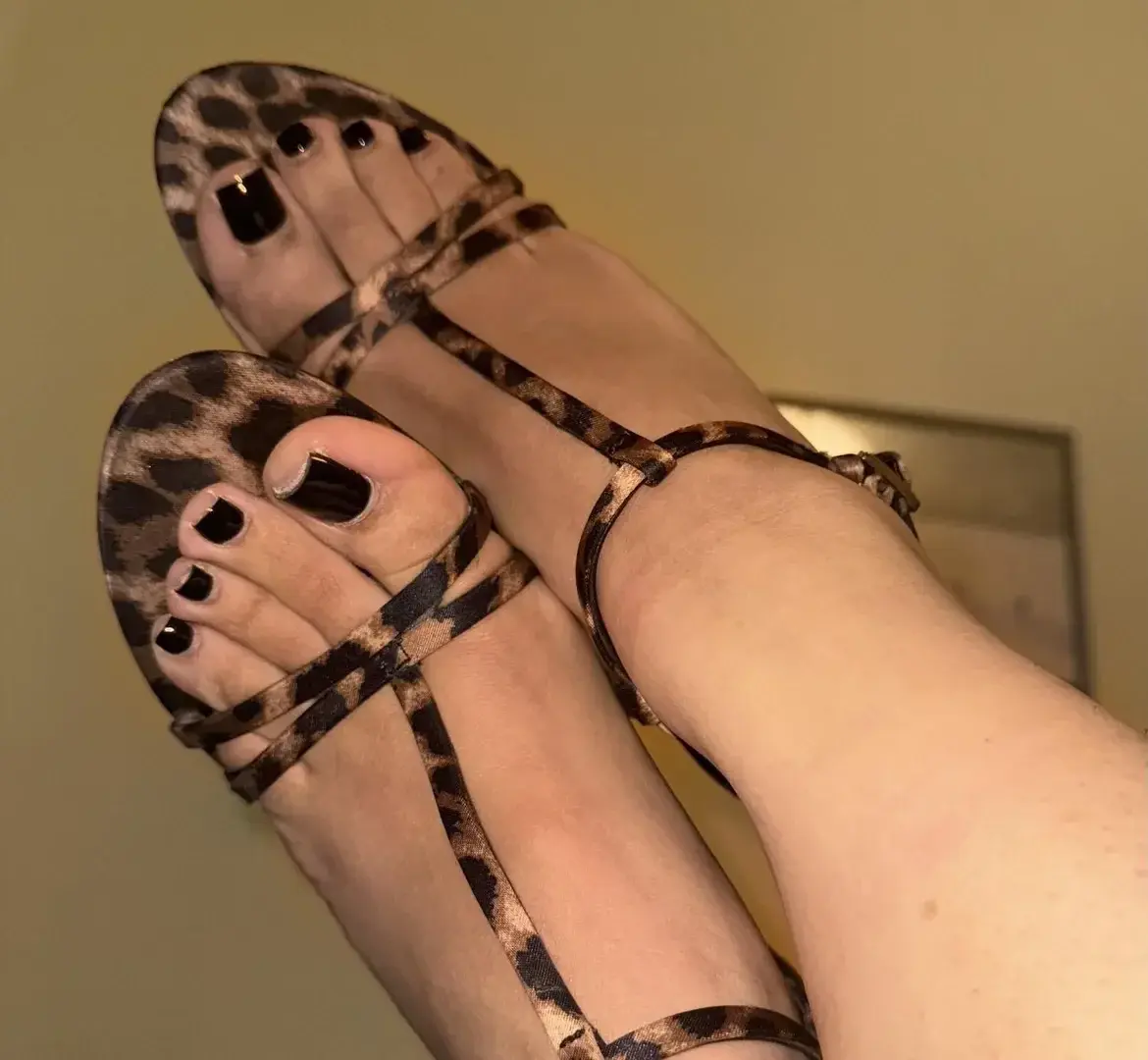 Photo de couverture de Seecretfeet