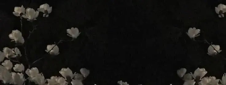 Photo de couverture de Freakydeadflowy