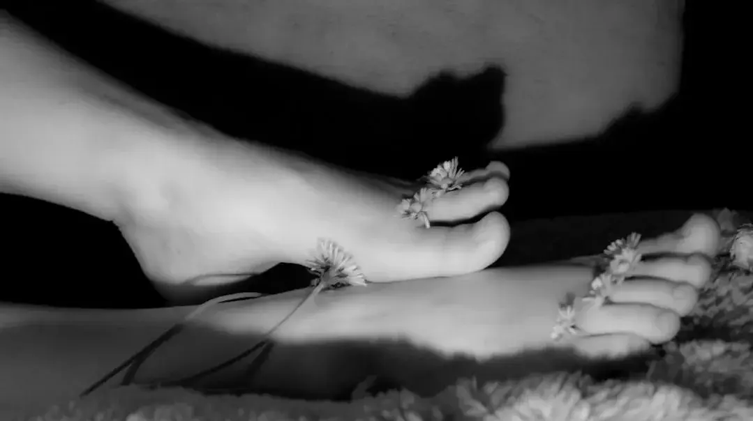 Photo de couverture de Mycuttystoryfeet