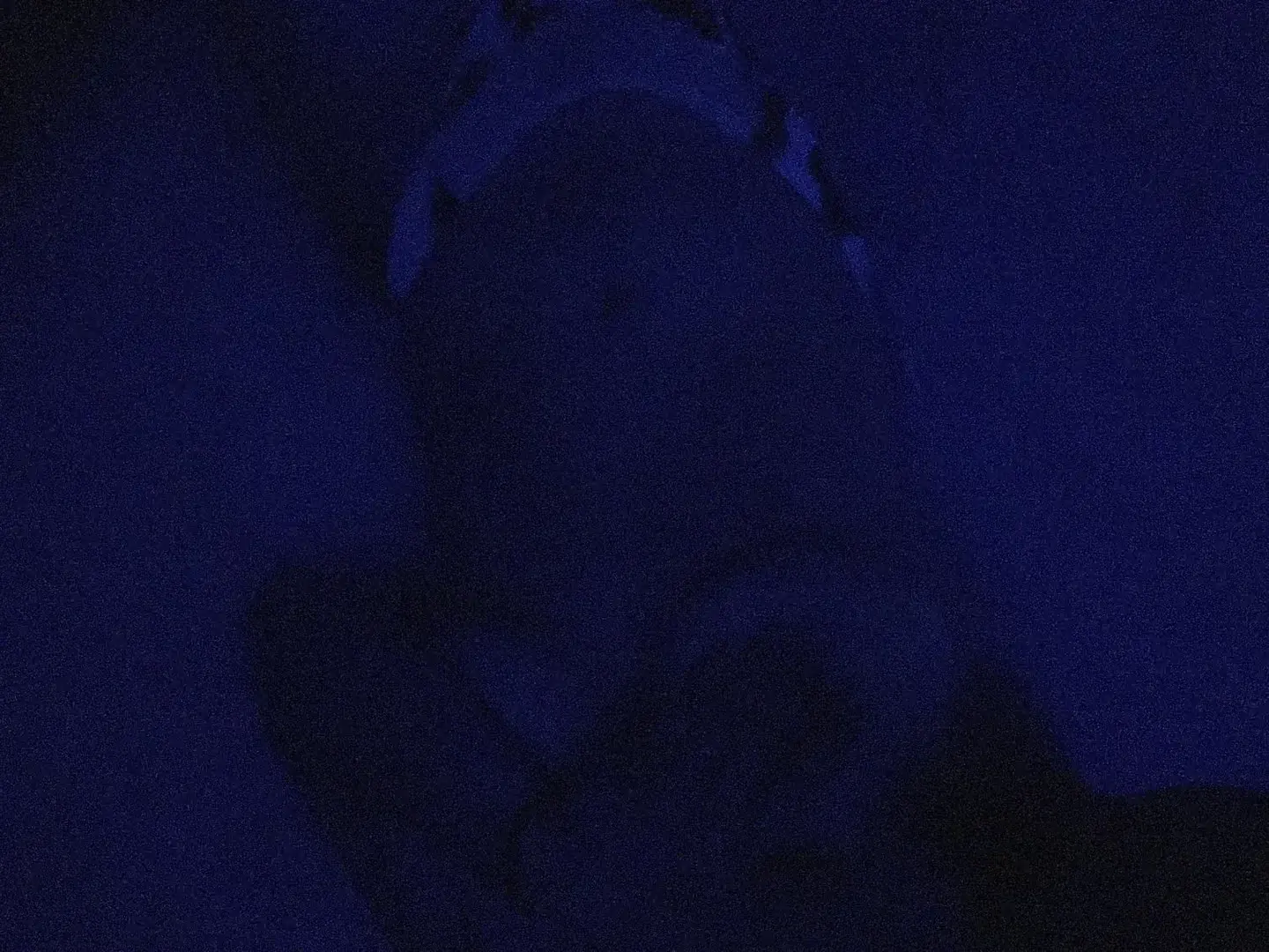 Avatar de Campagnelove