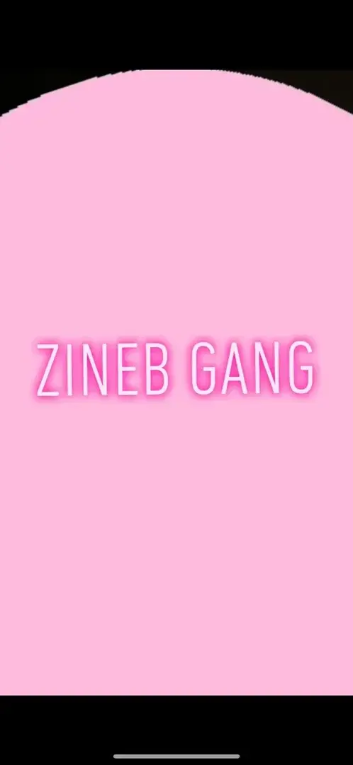Photo de couverture de Zinebgang