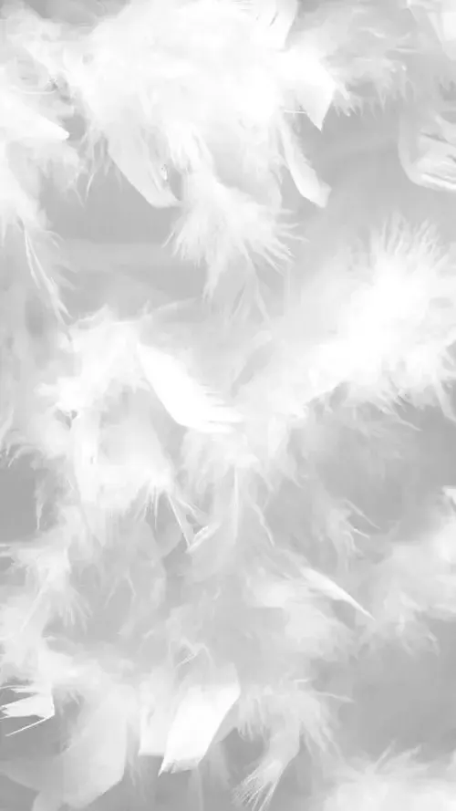 Photo de couverture de Estelgrazprn
