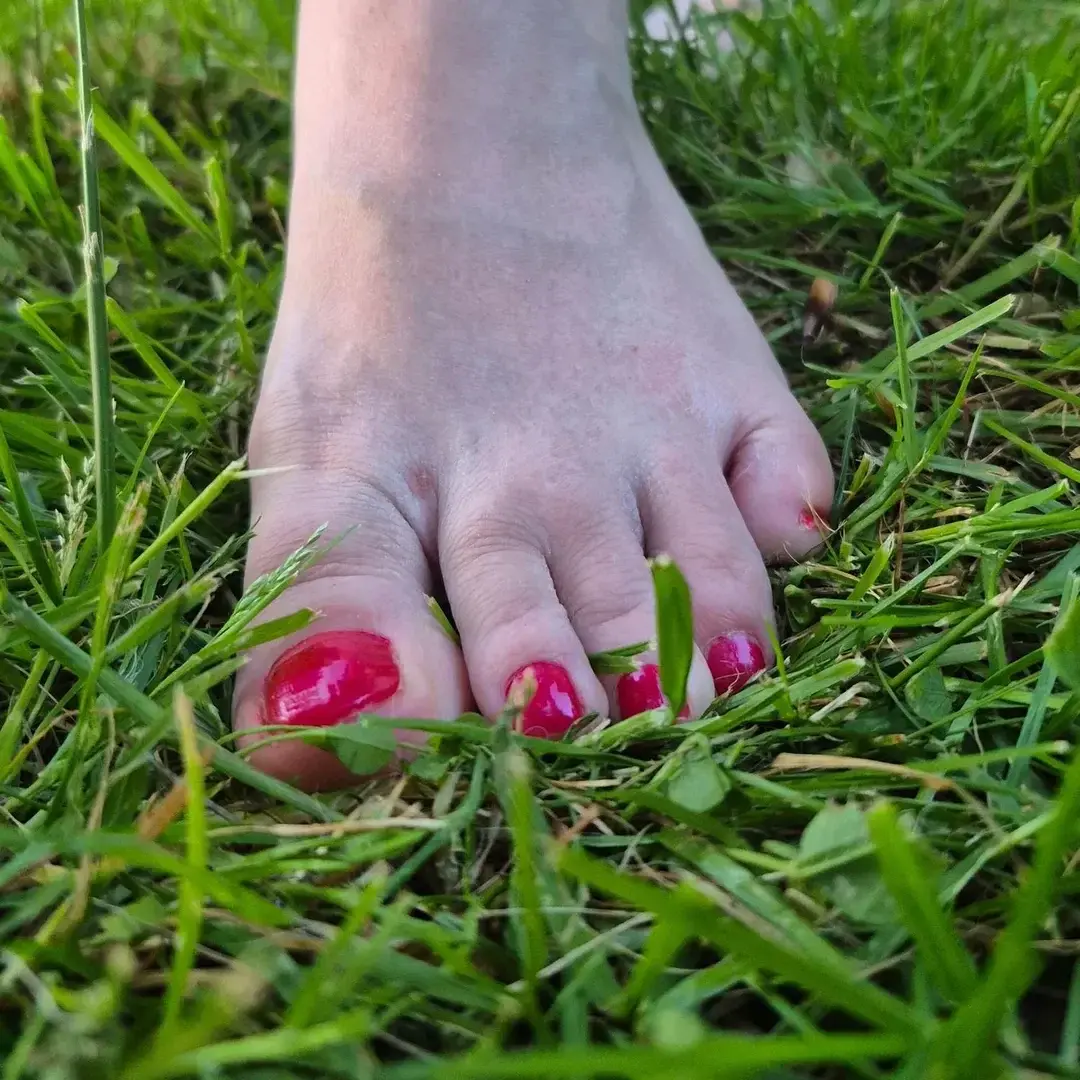 Avatar de Madamepetitspetons