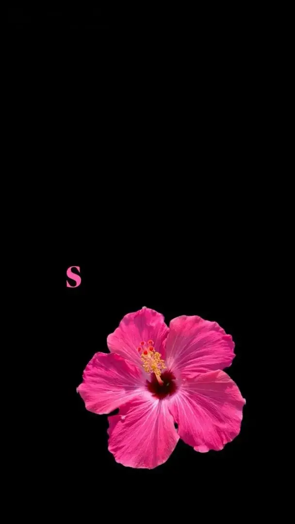 Photo de couverture de Samland