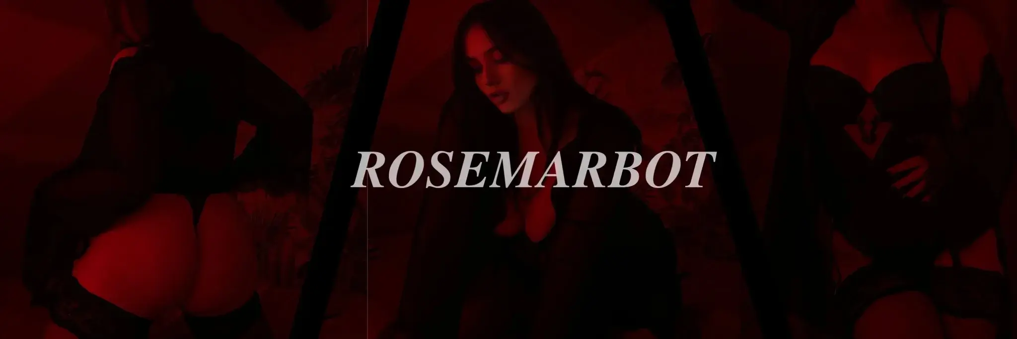 Photo de couverture de Rosemarbot