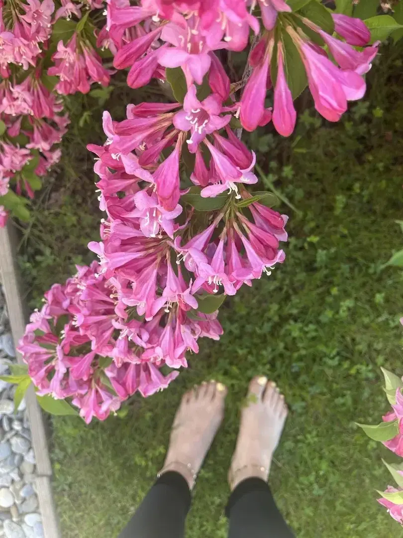 Leak & nude 4 — Beauty_little_feet