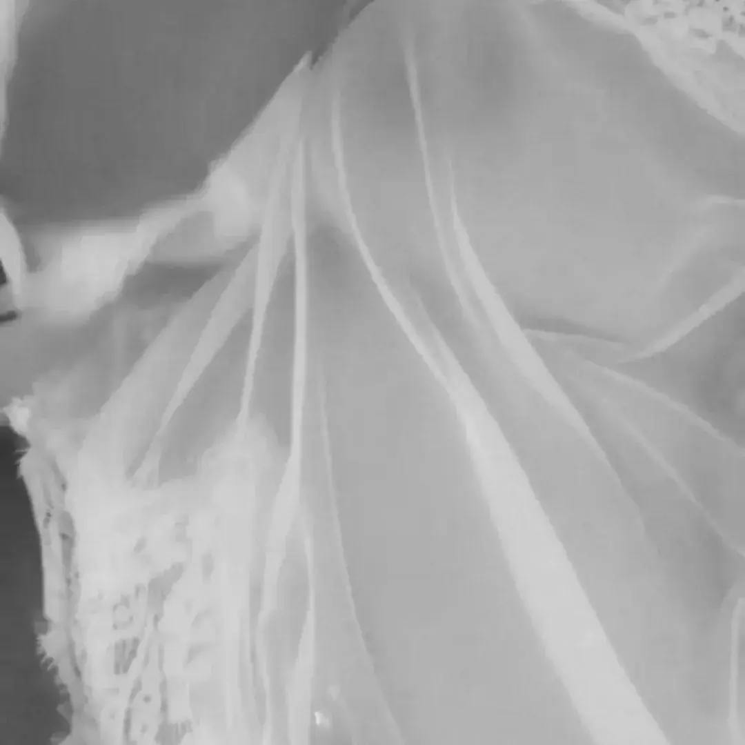 Photo de couverture de Diamantcoquin