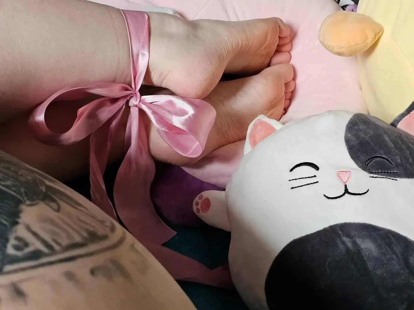 Attachée dans un monde de douceur qui cache parfois bien des choses. La beauté du mignon, l'adorable qui fais fondre les coeurs.