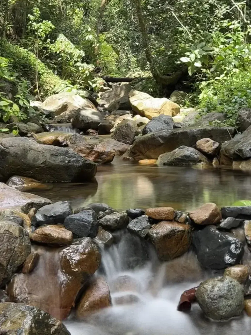 Leak & nude 1 — _Forestislandsoulmate