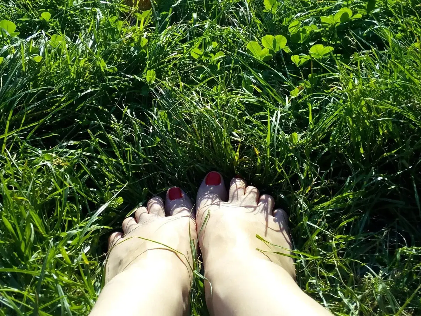Photo de couverture de Milpieds