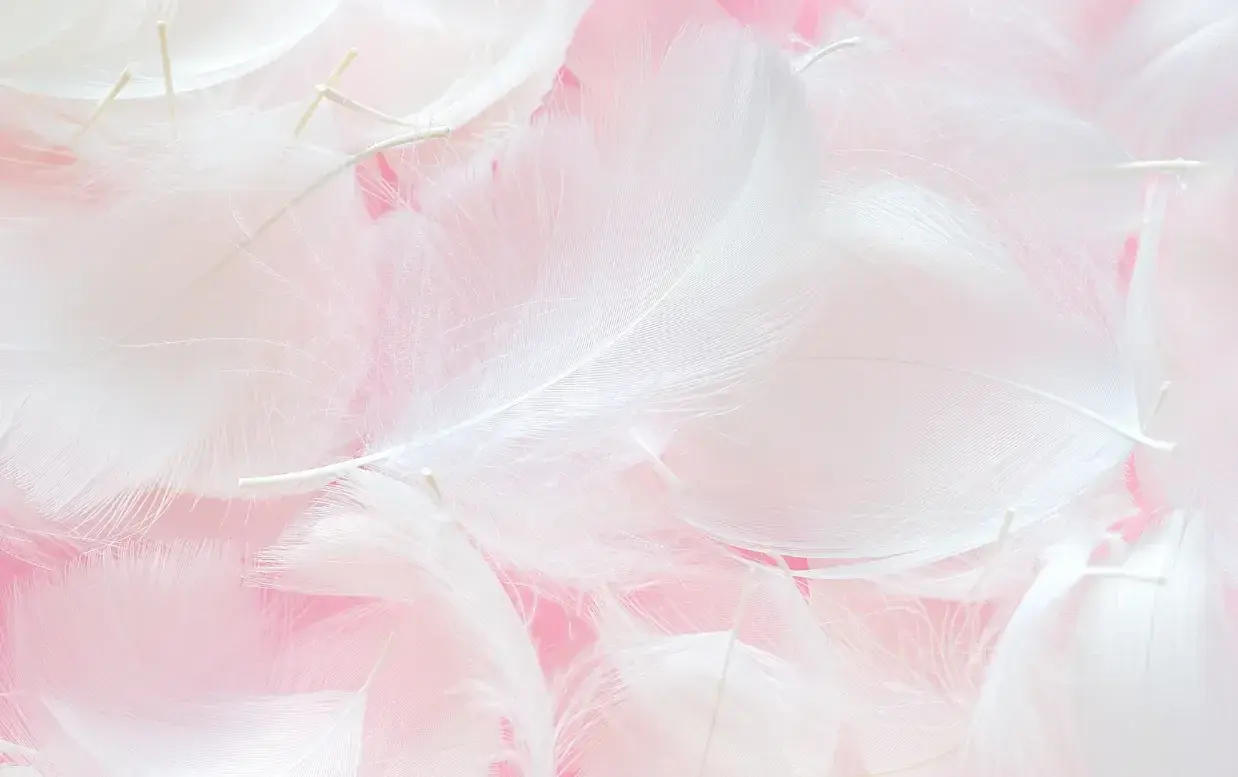 Photo de couverture de Iampretty