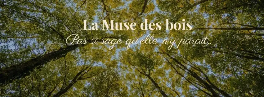 Photo de couverture de LaMusedesbois