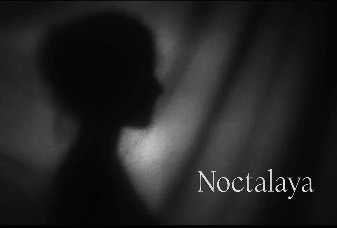 Photo de couverture de Noctalyaa
