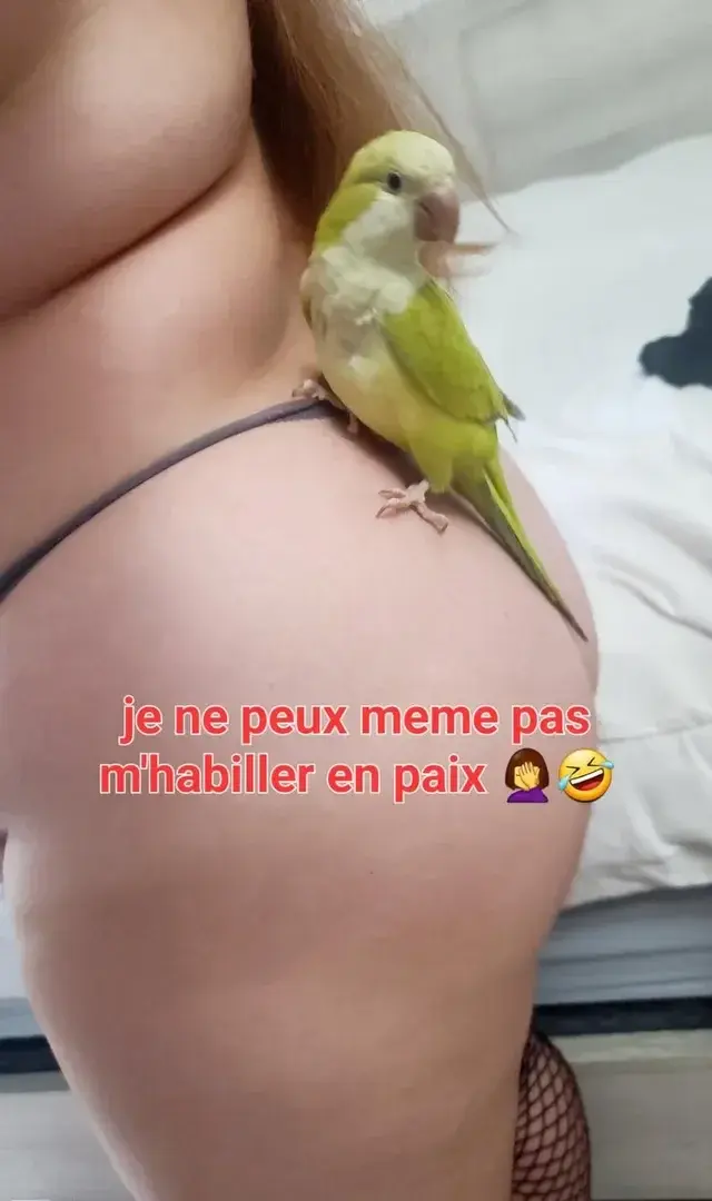Non mais enn t'aurais pu aller ailleur 🤣