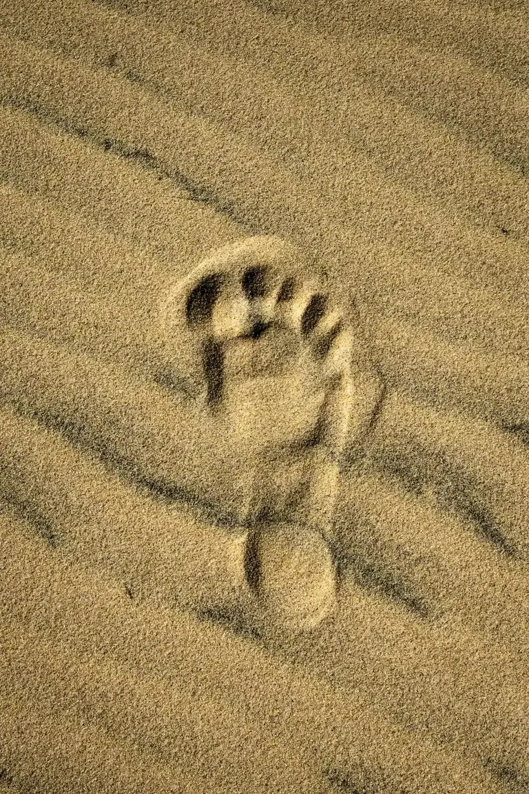 Photo de couverture de Pied-tine-moi666