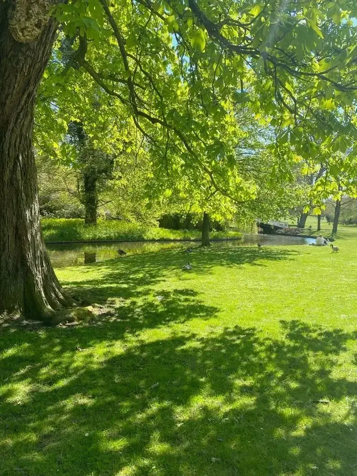 Photo de couverture de XoLili