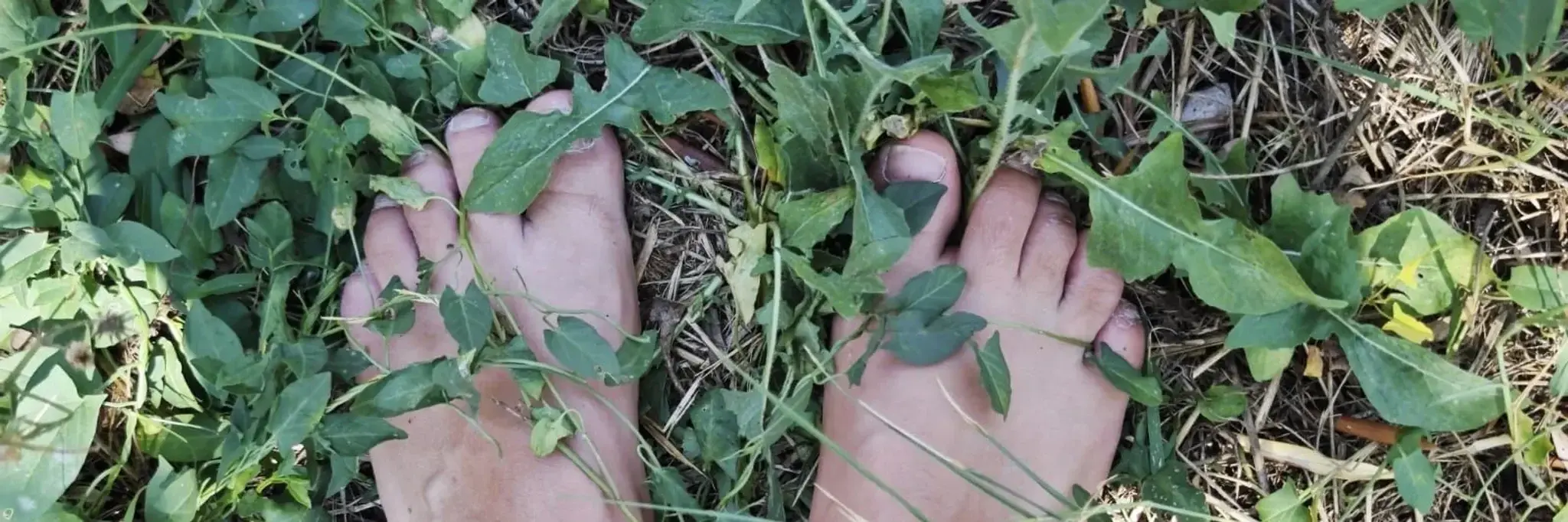 Photo de couverture de Lunafeet14