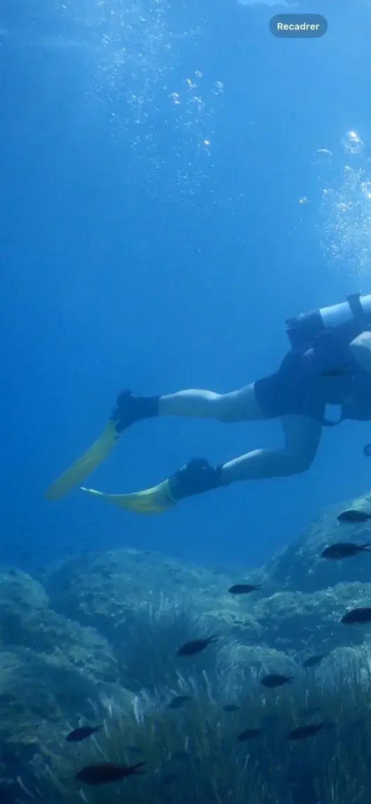 Diving time !