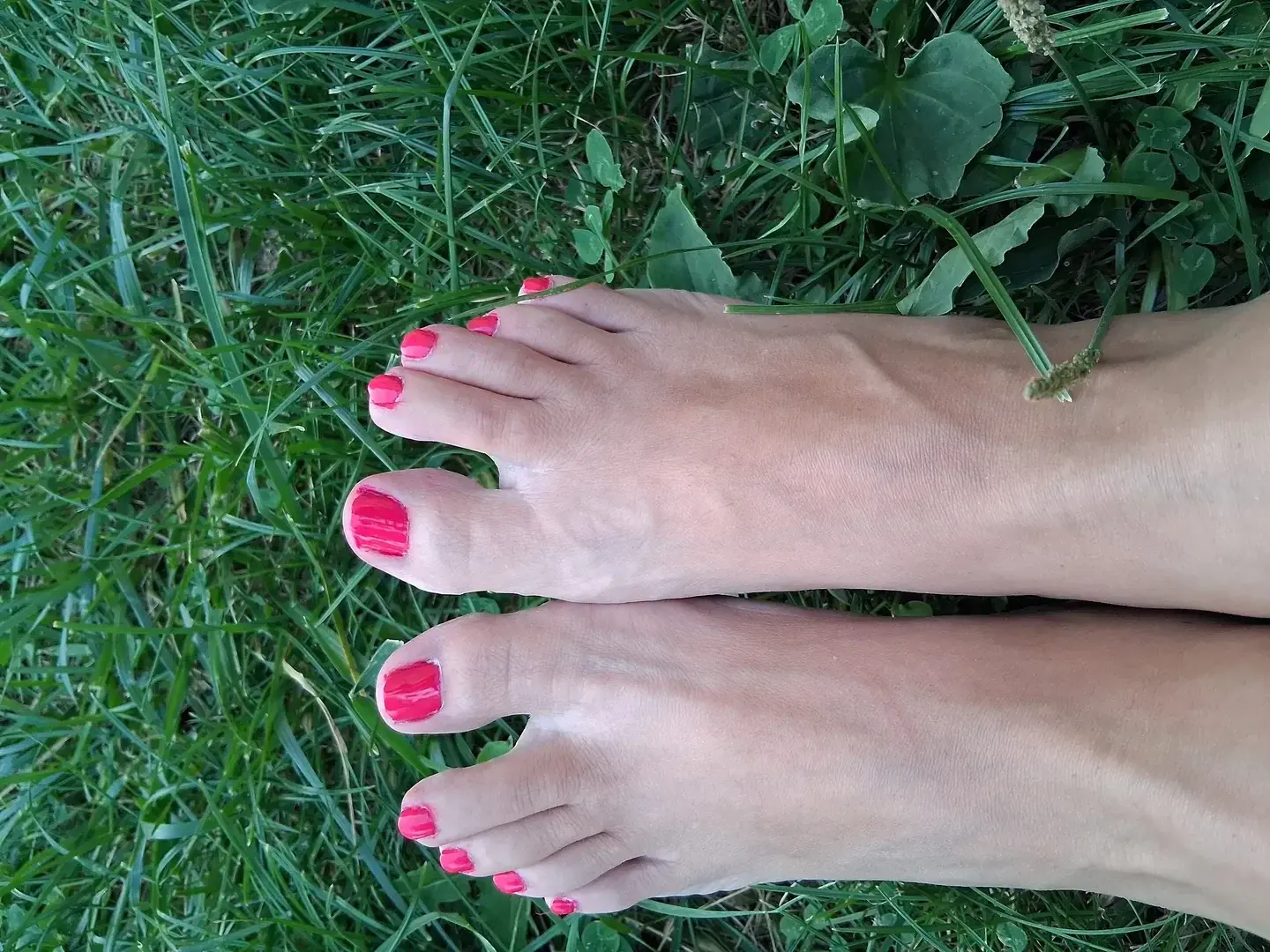 Avatar de pieds_de_louve