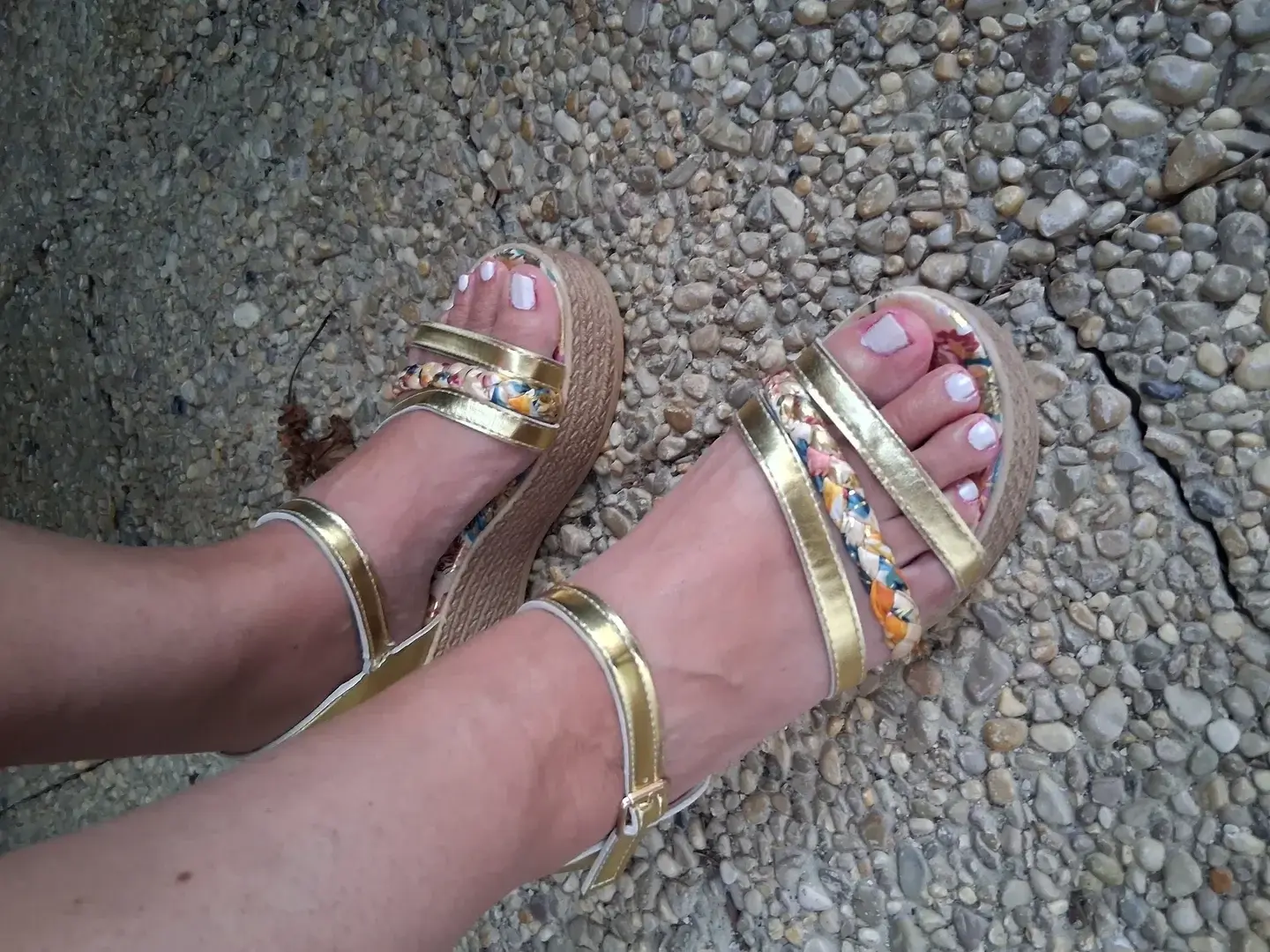 Photo de couverture de pieds_de_louve