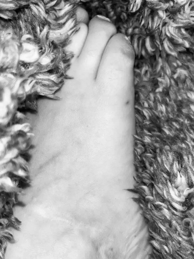 Avatar de Handifeet