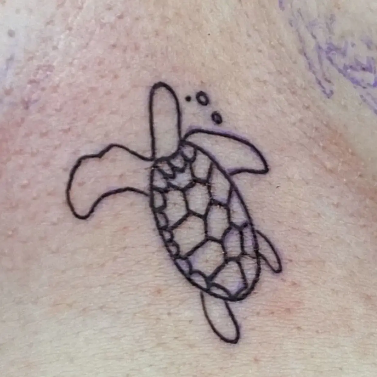 Avatar de _TortueBoobs