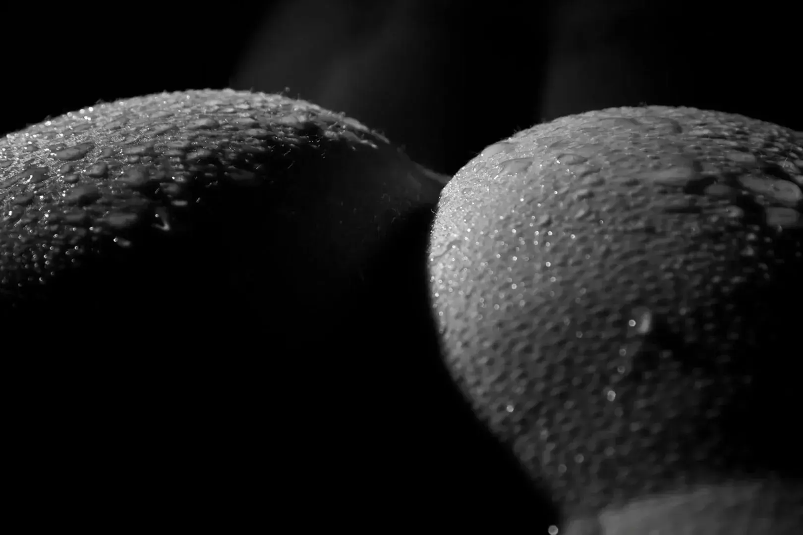 Leak & nude 15 — Photographe-57