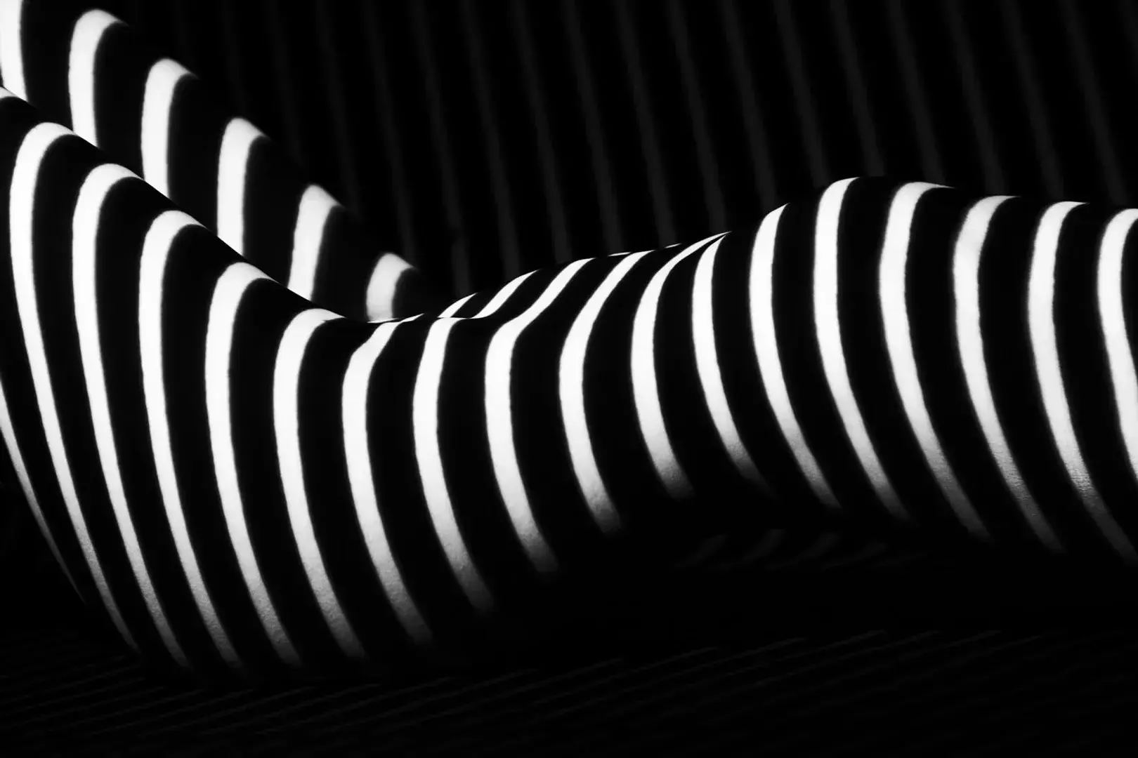 Photo de couverture de Photographe-57