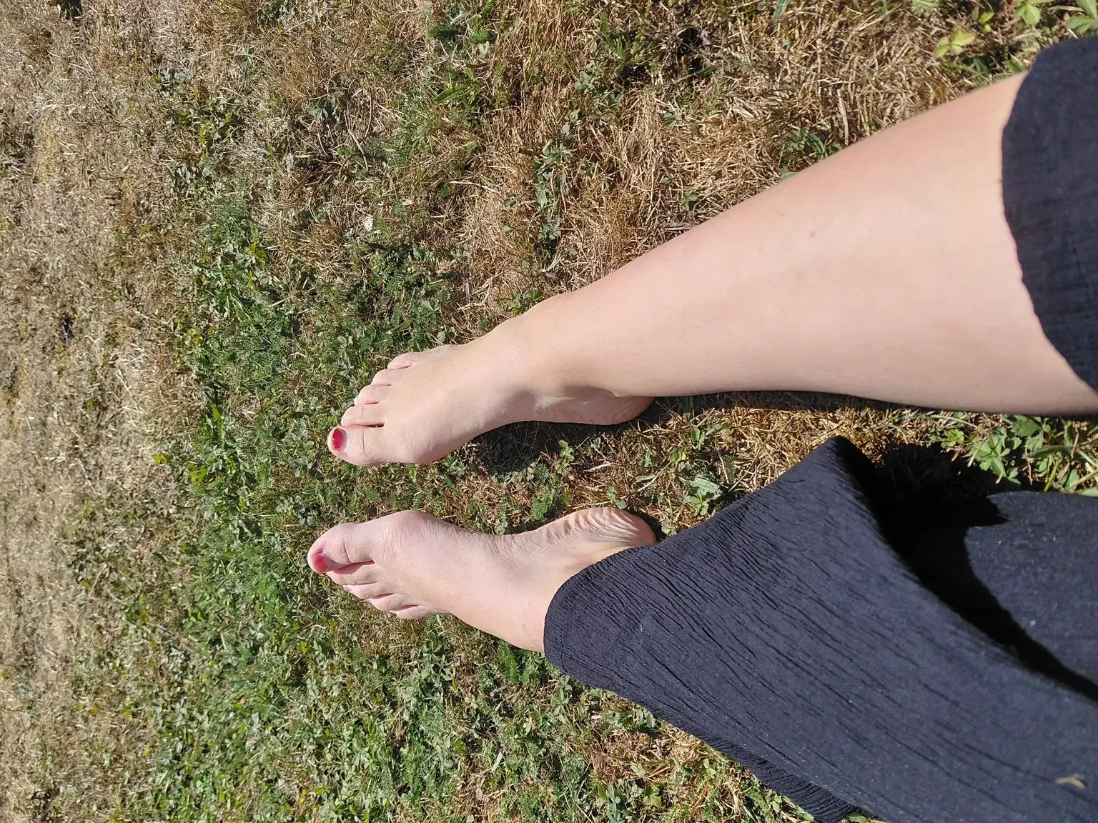 Avatar de Pieds-frenchie
