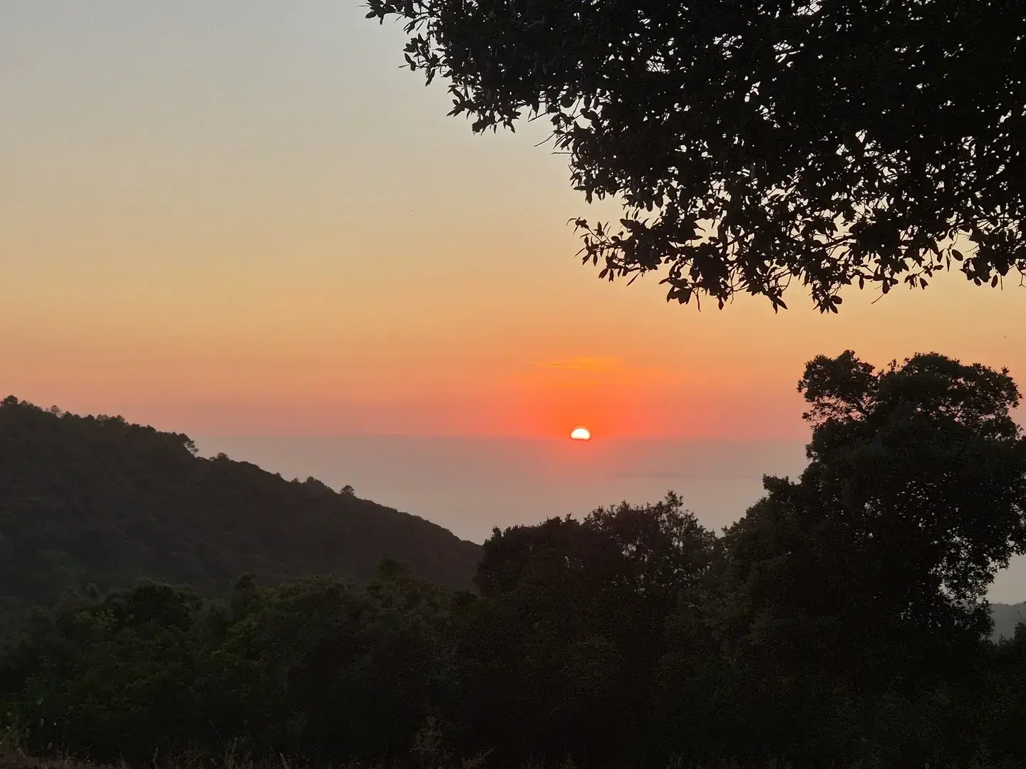 Photo de couverture de Mllekyra