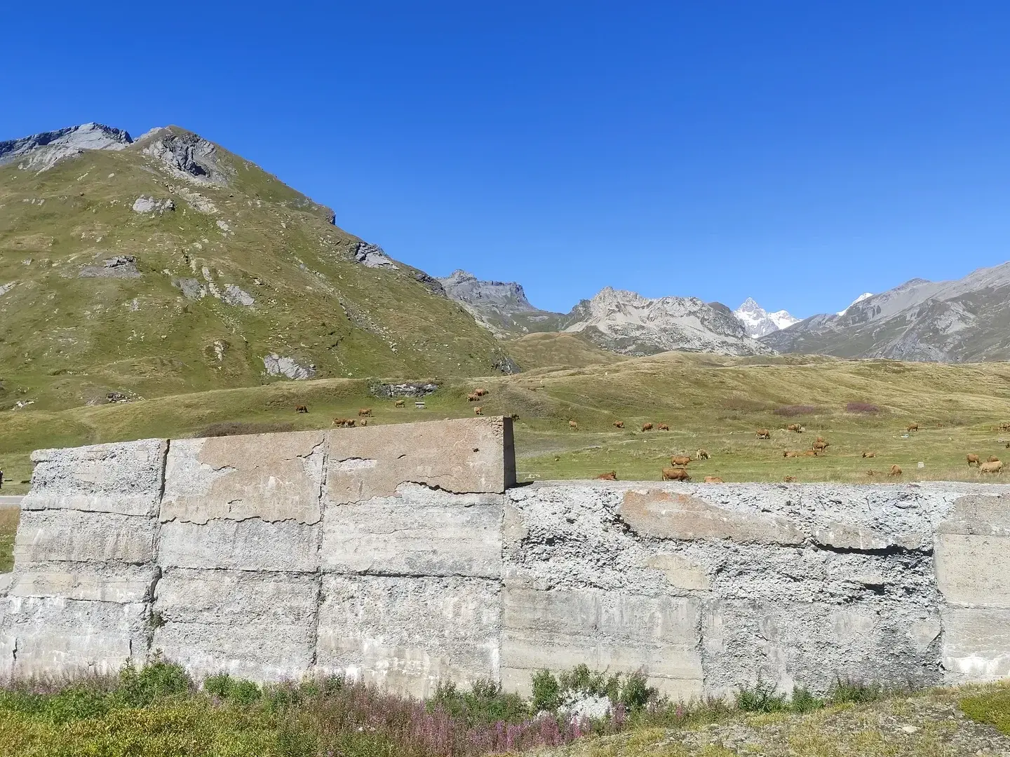 Photo de couverture de Ingenieriecommune