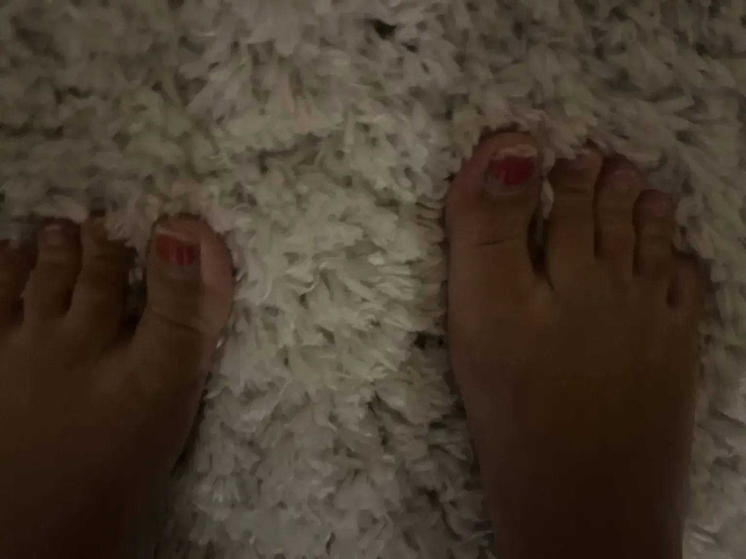 Photo de couverture de Clarastemstingtoes