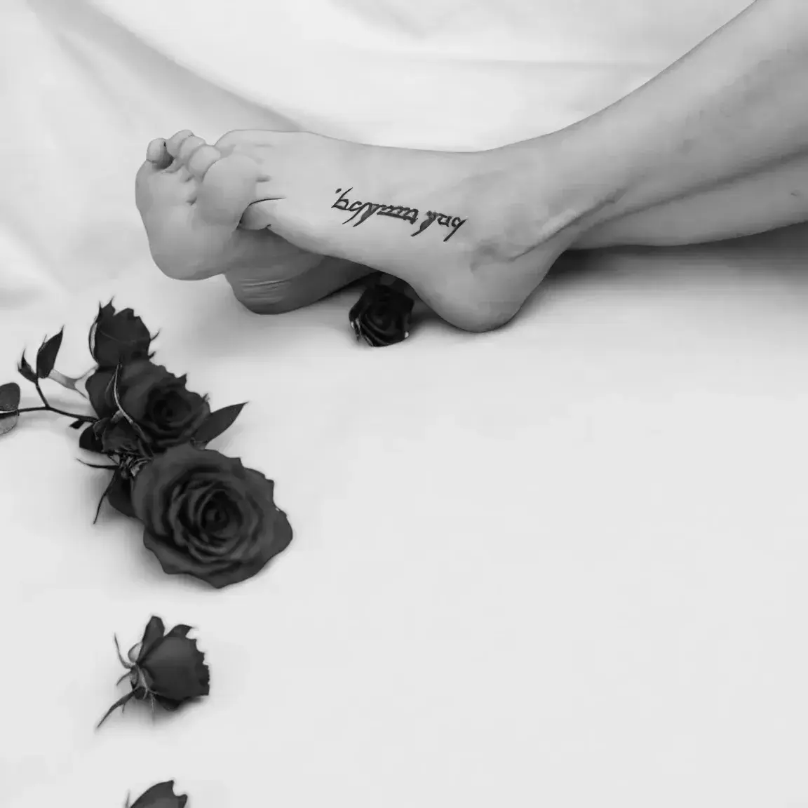 Photo de couverture de Aphroditina