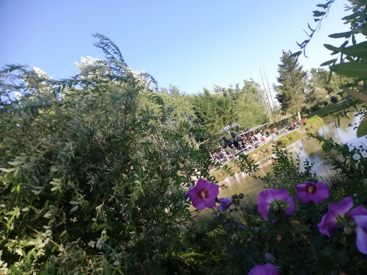 Photo de couverture de Amelimca