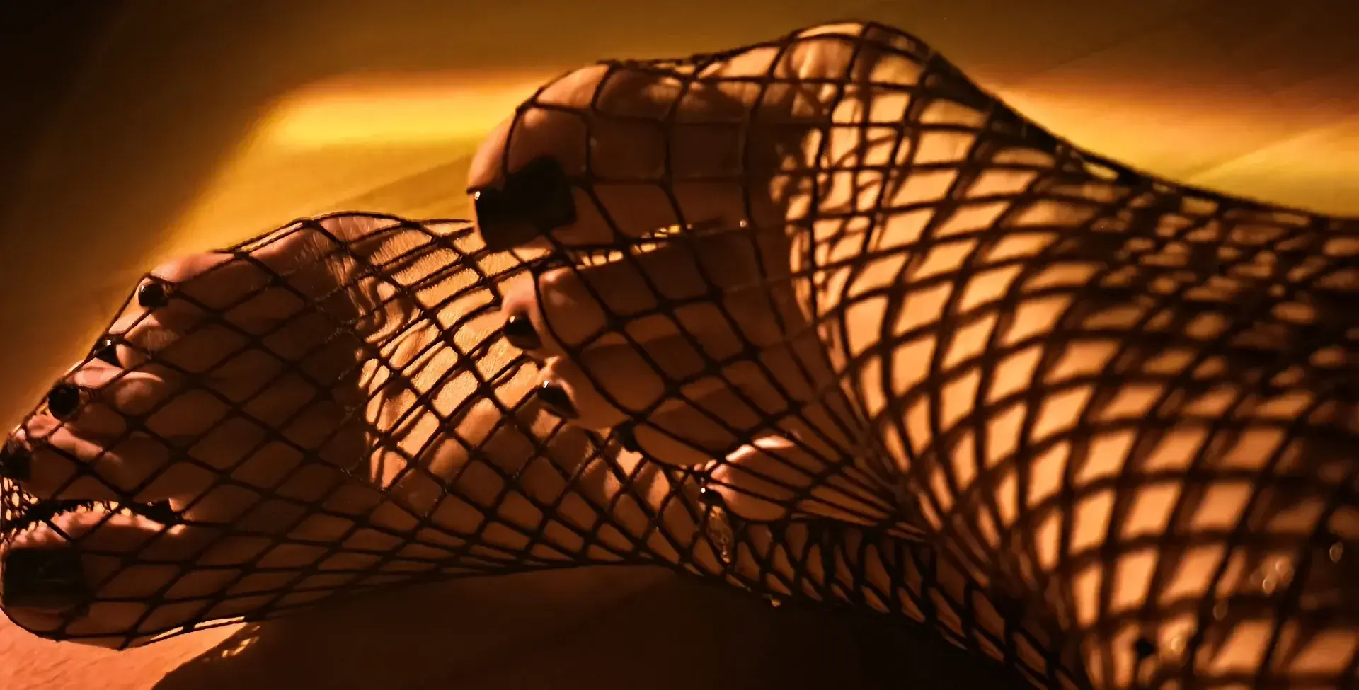 Photo de couverture de Venusnocturne69