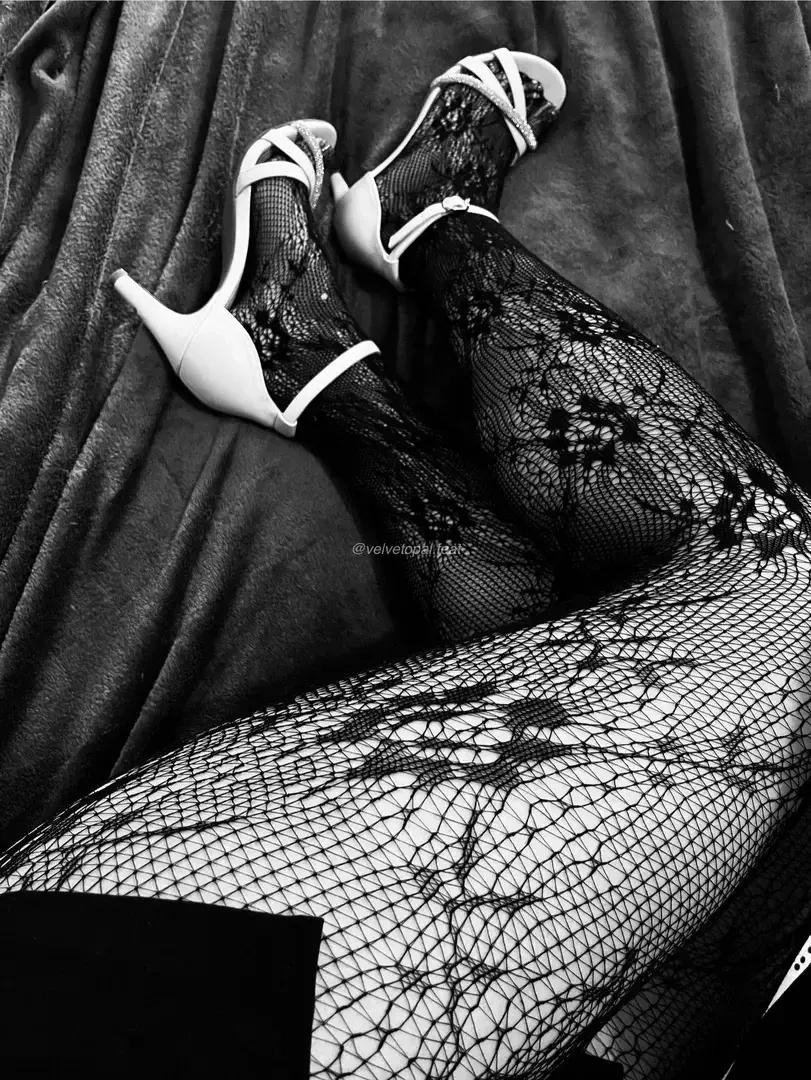 Photo de couverture de velvetopal