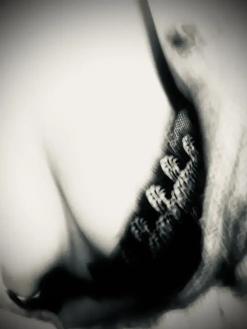 Leak & nude 10 — Aufre
