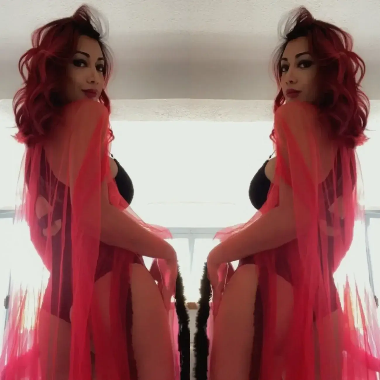 Photo de couverture de Vanessatrans9