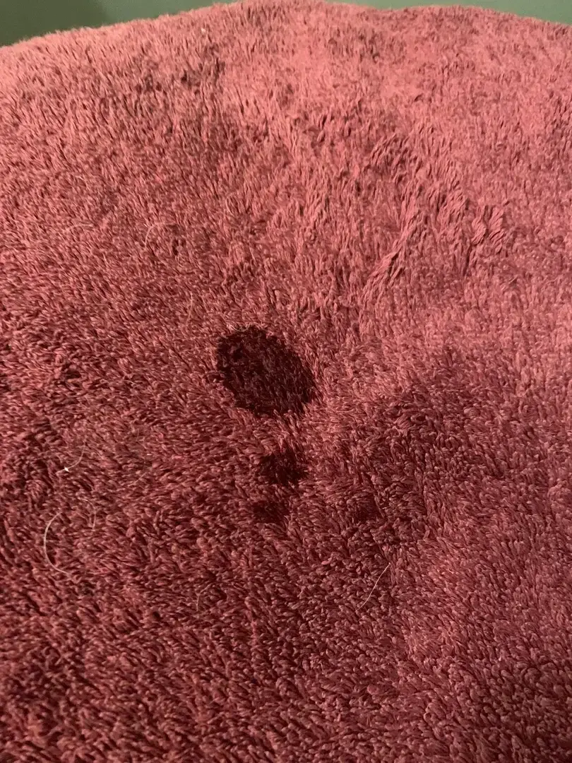 Aïe aïe … l’épilation fait mal 😭Ma pussy laisse des traces 😭😭🤣🤣