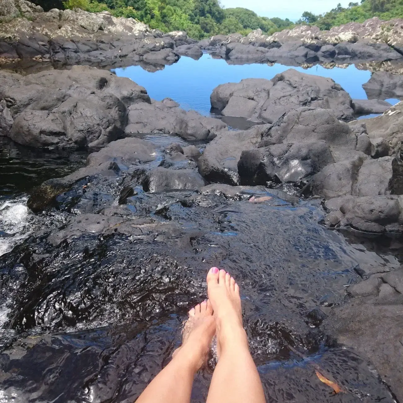 Photo de couverture de Florida