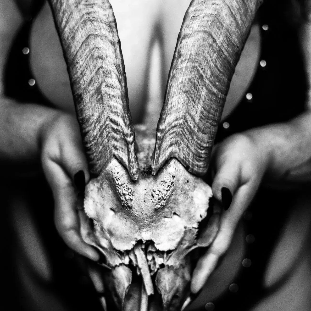 Photo de couverture de F0xyqueen