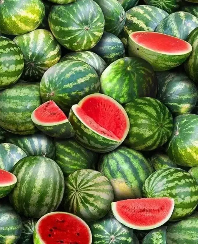 Photo de couverture de Melonsandtatts