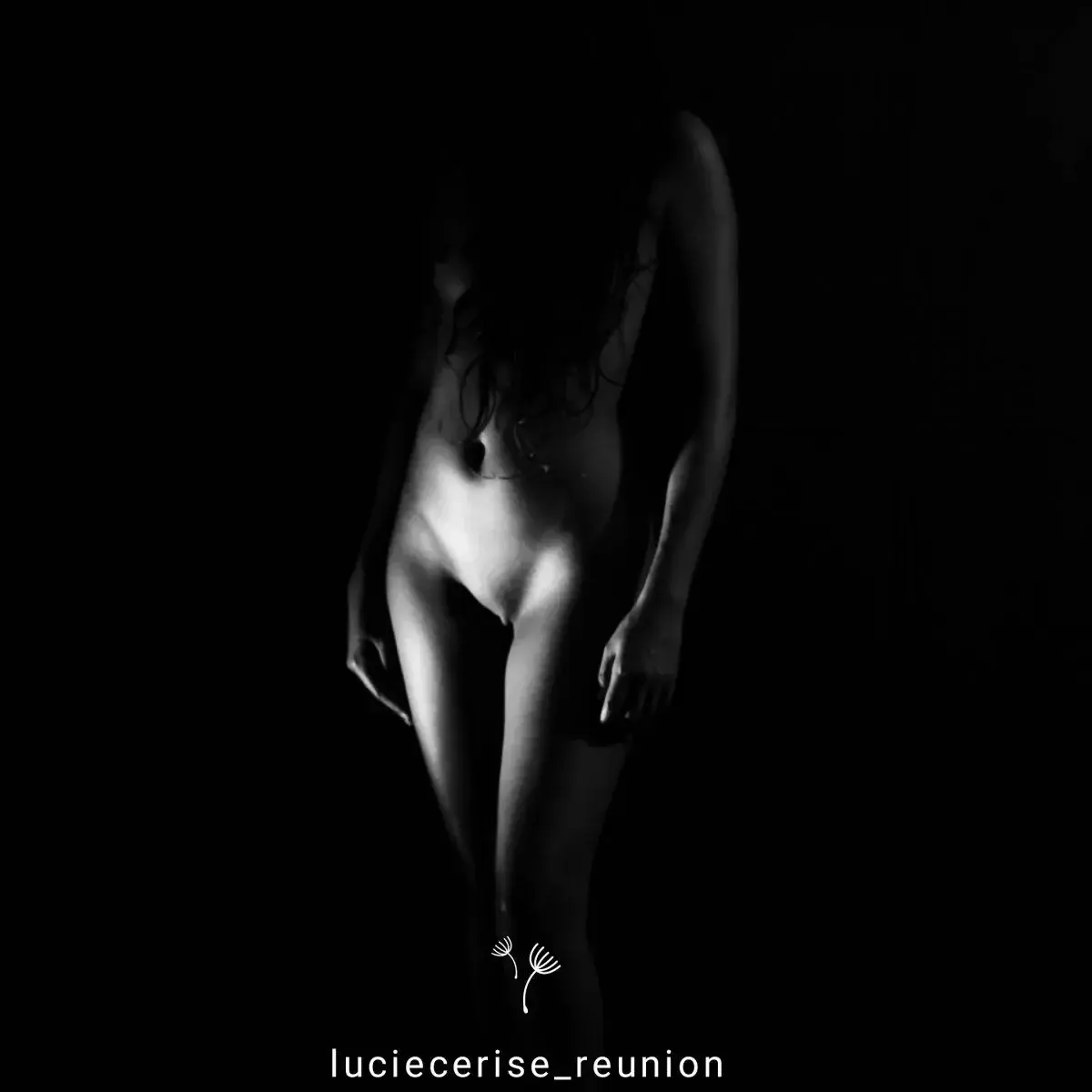 Avatar de Luciecerise_reunion