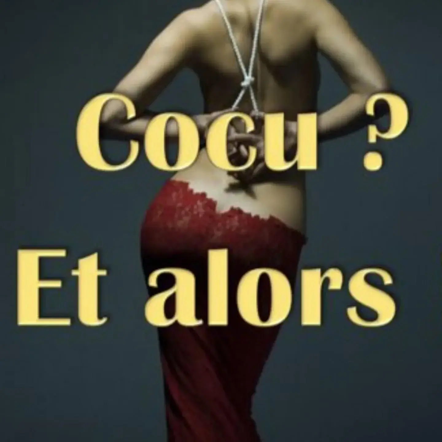 Photo de couverture de Amour-coquin84