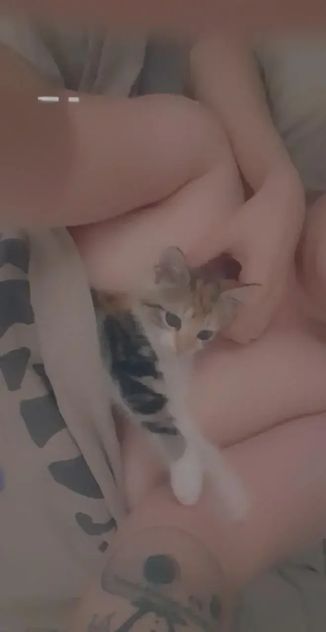 Feat mon chaton 🤭