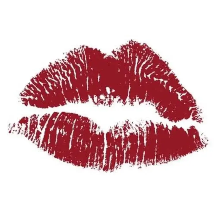 Photo de couverture de Perleclara18