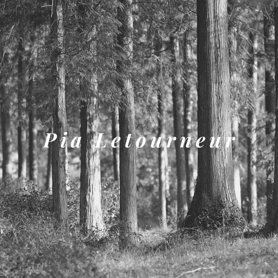 Photo de couverture de pialetourneur