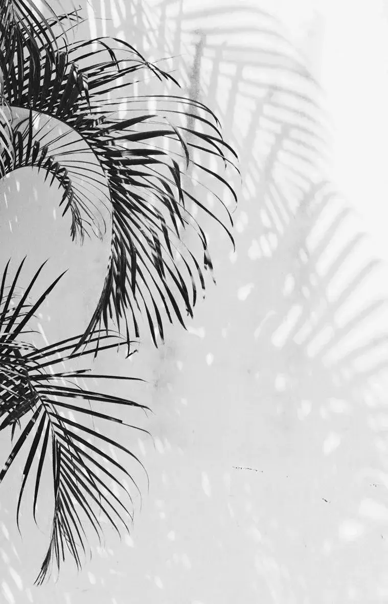 Photo de couverture de Artispure
