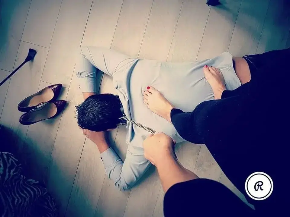Photo de couverture de Madame_rose
